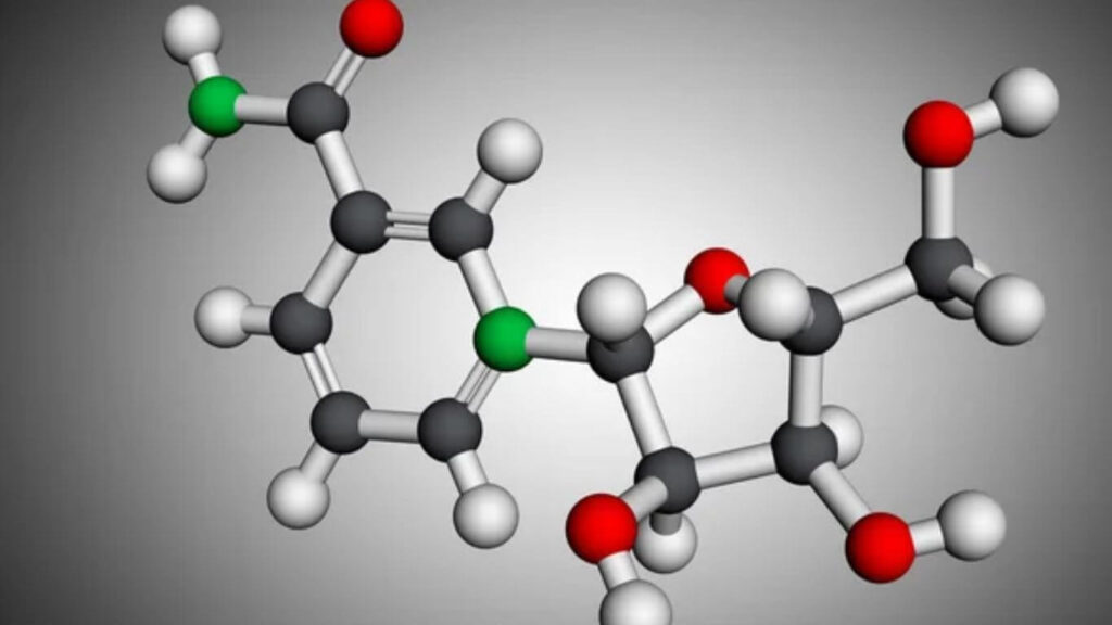Nicotinamide Riboside